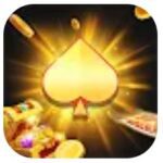 callbreak master app log