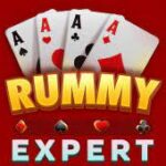 expert