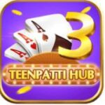hub tp
